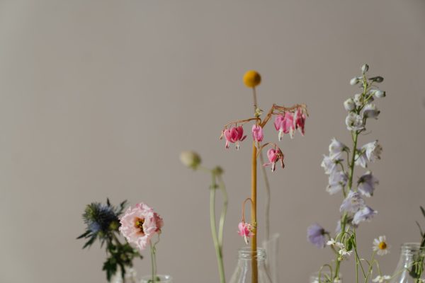 Delicate Peony & Jasmine Bouquet